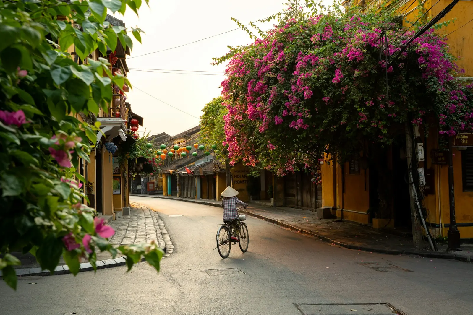 Cyklist på en lugn gata med bougainvillea och gula hus i Hoi An