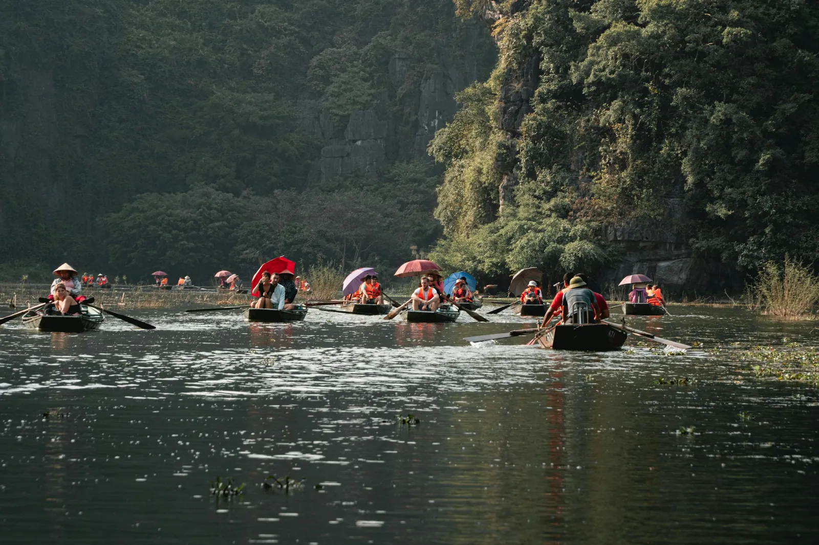 Roddbåtar med turister under parasoller på floden mellan kalkstensklippor i Ninh Binh